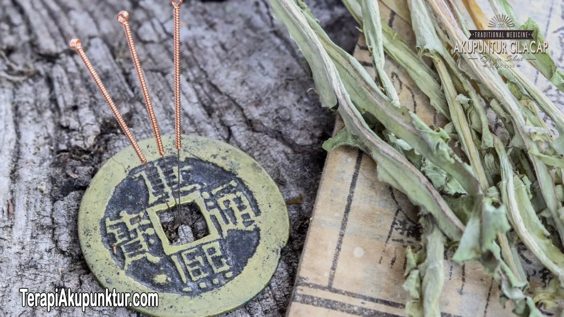 Terapi Akupunktur Untuk Kolesterol 2