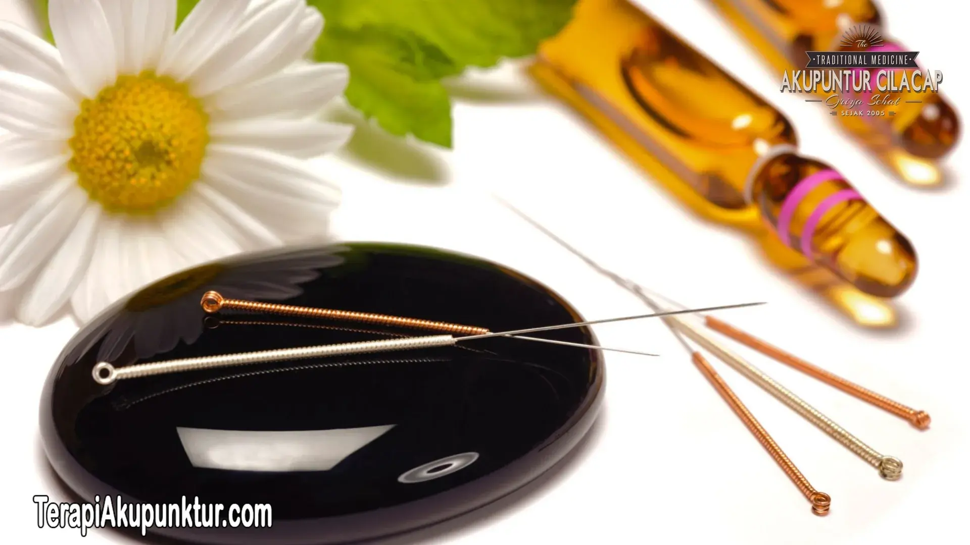 Terapi Akupunktur Untuk Kolesterol