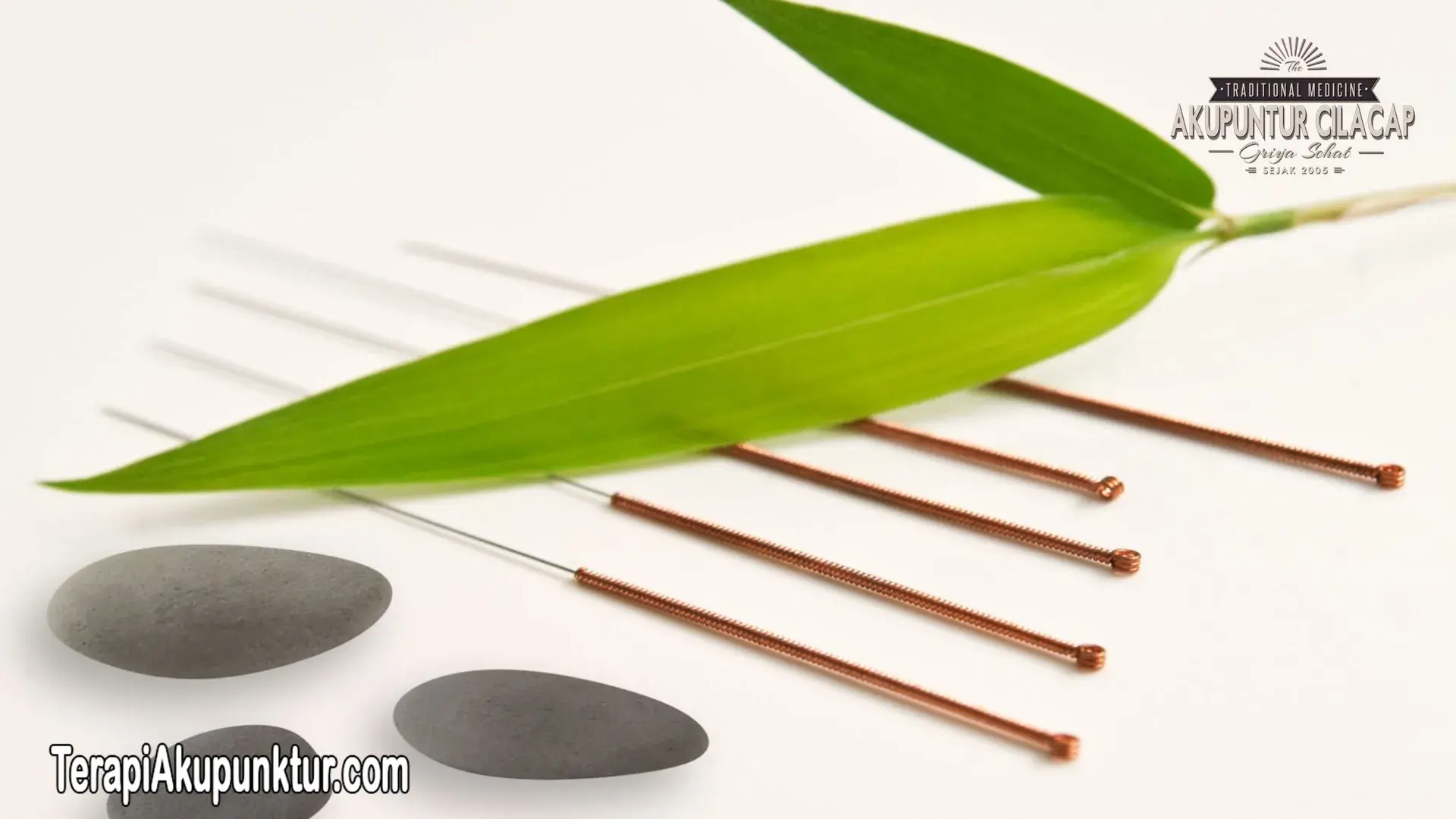 Terapi Akupunktur Untuk Nyeri Leher