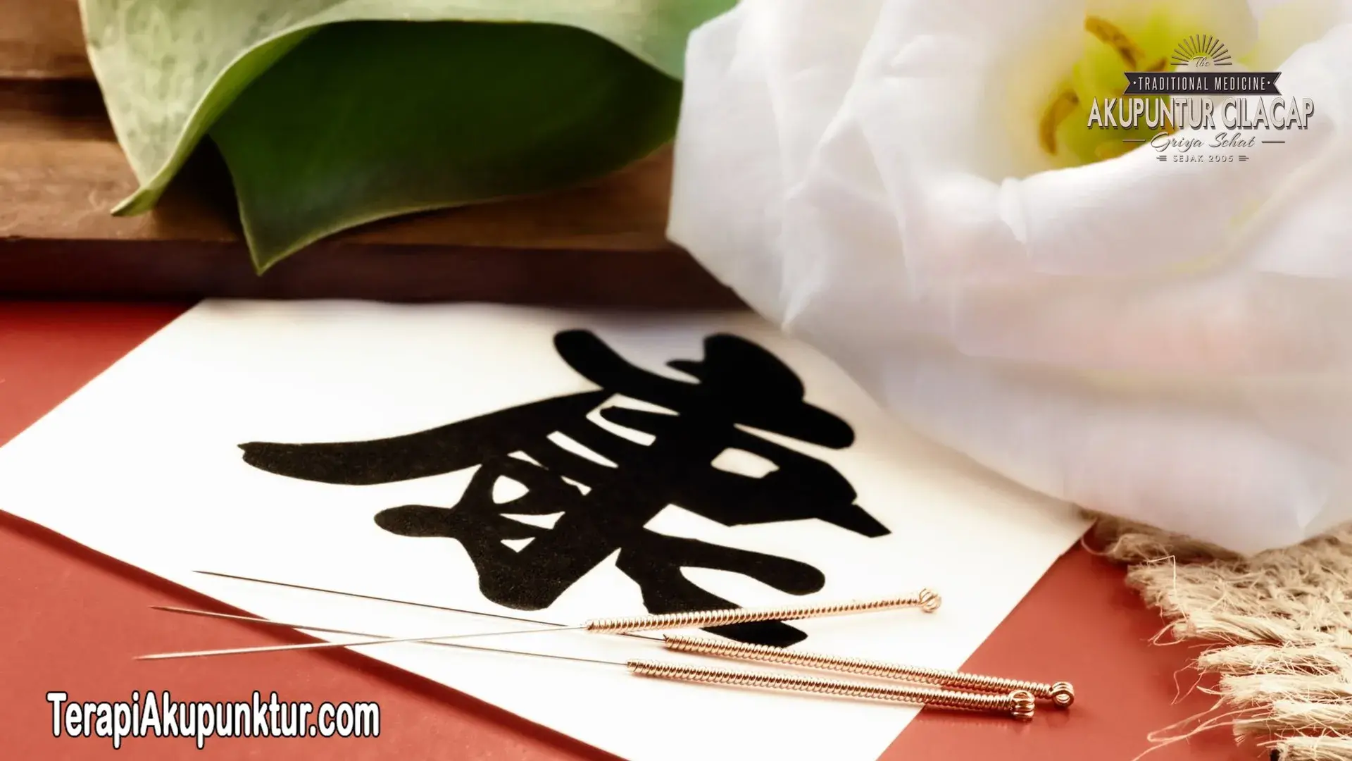 Terapi Akupunktur Untuk TBC